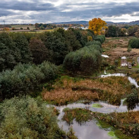 Eine ruhige Landschaft mit grasbewachsenen Flächen und Gewässern. Bäume umgeben die Fläche, während sich ein Weg im Hintergrund erstreckt.