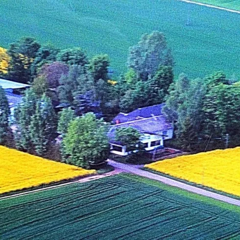 Eine ländliche Gegend mit einem weißen Haus, umgeben von grünen Feldern und leuchtend gelben Rapsfeldern. Der Himmel ist klar und die Landschaft wirkt friedlich.