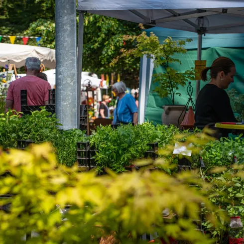 Kräutermarkt Hauenstein