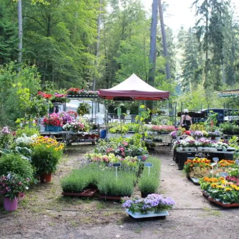 Kräutermarkt I (© Sonja Spieß)