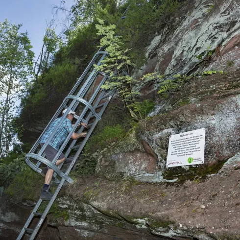 Mann auf Metallleiter beim Aufstieg auf den Felsen