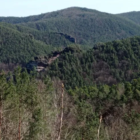 Im Vordergund des Bildes der Burghalder etwas versetzt dahinter die Fliehburg Backelstein umgeben von Bäumen.