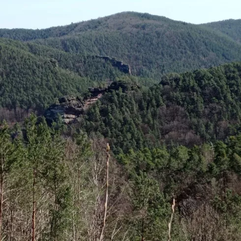 Blick zu Backelstein und Burghalder