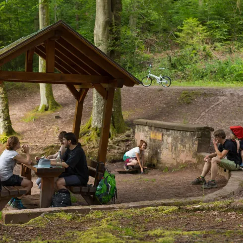 An der Queichquelle (© Stephanie Ser)