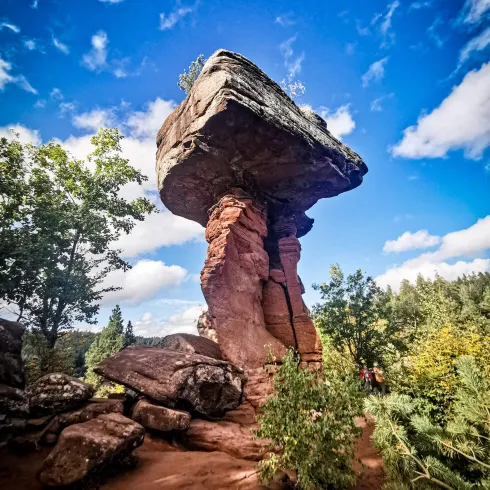Ein beeindruckender Felsen mit einem großen, flachen Stein oben. Umgeben von Bäumen und einem klaren blauen Himmel.