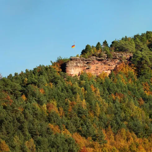 Nedingfelsen mit Fahne umgegeben von Bäumen