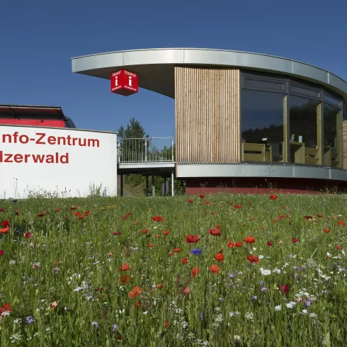 Tourist-Info-Zentrum im Sonnenschein (© Stephanie Ser)