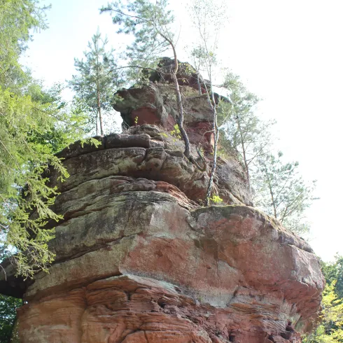 Buntsandsteinfelsen mit Bäumen darauf