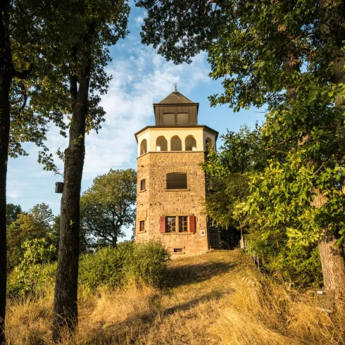 Pfalz-Touristik-2019-004