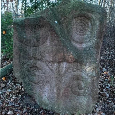 Ein mysteriöser Stein mit spiralförmigen Ornamenten steht im Wald. Der Stein ist von Laub umgeben und vermittelt einen alten, geheimnisvollen Eindruck.