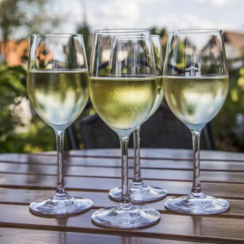 Vier Gläser mit weißem Wein stehen auf einem Holztisch. Im Hintergrund sind grüne Pflanzen und ein blauer Himmel zu sehen.