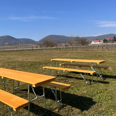Eine malerische Landschaft mit einer Wiese, auf der mehrere Holztische stehen. Im Hintergrund sind sanfte Hügel und ein klarer blauer Himmel zu sehen.