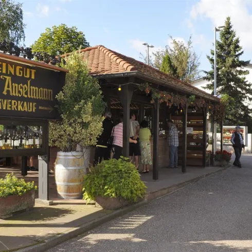 Ein Weingut mit einem einladenden Verkaufsstand. Gäste genießen Wein und die angenehme Atmosphäre im Freien.