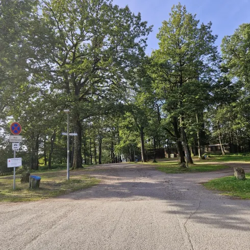 Eine ruhige Waldlandschaft mit hohen Bäumen und einer geteerten Straße. Auf der linken Seite sind Verkehrsschilder und Informationstafeln zu sehen.