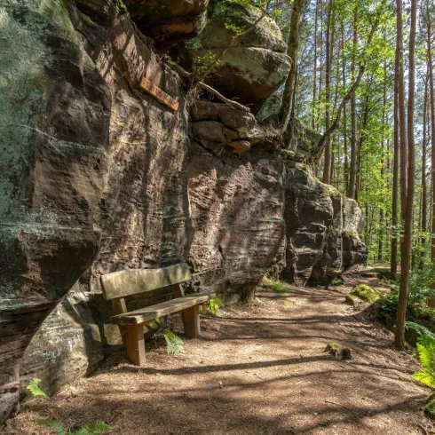 Ein ruhiger Waldweg mit großen Felsen und einer Bank zum Sitzen. Die umgebenden Bäume sorgen für eine friedliche Atmosphäre.