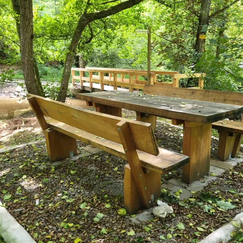 Ein Holztisch mit Bänken in einer grünen Umgebung. Umgeben von Bäumen und einem kleinen Weg im Hintergrund.