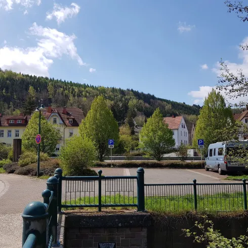 Eine ruhige Straße mit grünen Bäumen und Häusern im Hintergrund. Der Himmel ist blau und es gibt nur wenige Wolken.