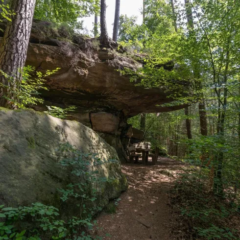Ein schöner Wald mit großen Felsen und üppigem Grün. Die Lichtstrahlen fallen durch die Bäume und schaffen eine ruhige Atmosphäre.