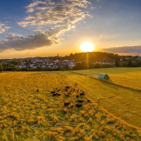 Leimen im Sonnenuntergang