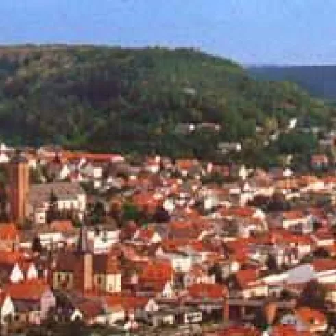 Blick Rodalben (© Archiv Leistungsträger)