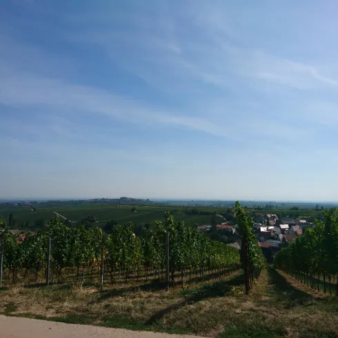 Aussicht aus dem Strandkorb
