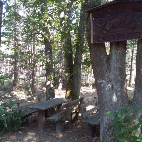 Eine Bank mit einem Tisch aus Holz, mitten im Wald. Zwischen einzelnen Bäumen steht dieser Tich und daneben ist ein Baum , an dem ein Holzschild hängt.