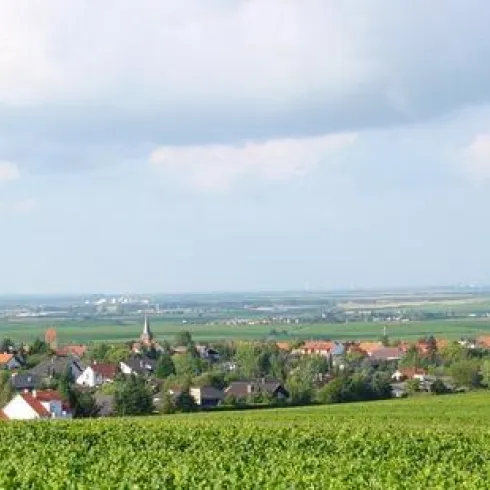 Weisenheim am Berg Weisenheim am Berg