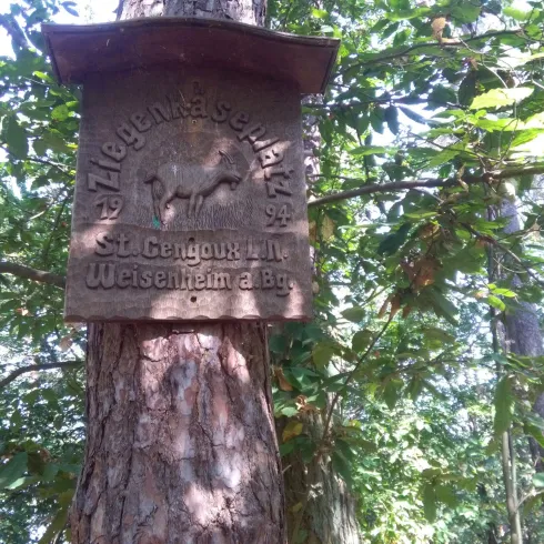 Pfälzerwald - Burgunder Rastplatz (© Urlaubsregion Freinsheim)