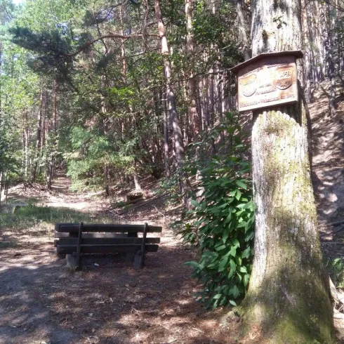 Eine Bank und den dazu gehörigen Tisch stehen im Wald zwischen den Bäumen und an einem Baum hängt ein Holzschild.