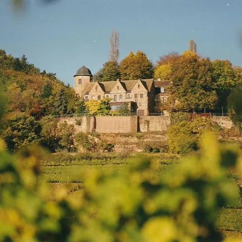 Ruine Kropsburg