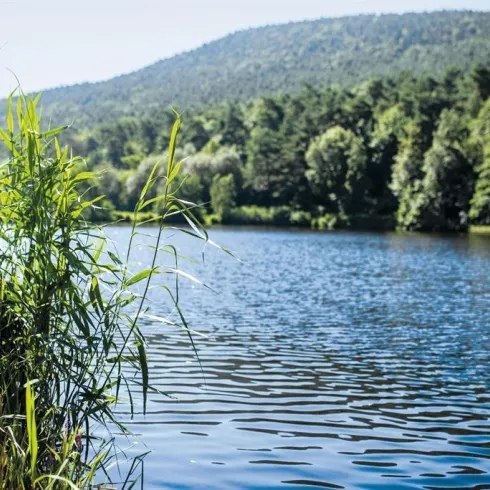 Sandwiesenweiher (© Tourist-Info St. Martin)