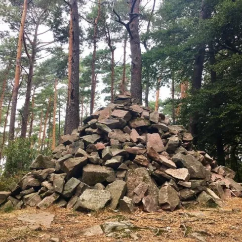 Ein großer Hügel aus Steinen in einem Wald mit hohen, grünen Bäumen. Der Boden ist mit Laub und kleinen Steinen bedeckt.