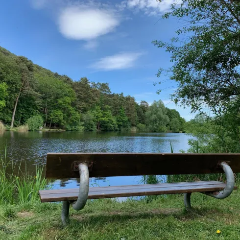 Sitzbank am Landschaftsweiher St. Martin (© Tourist-Info St. Martin)