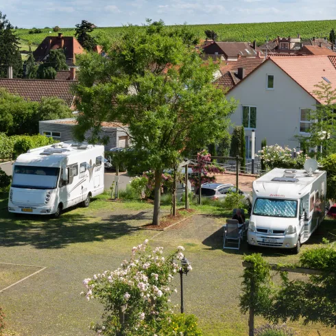 Wohnmobilstellplatz Weingut Schreieck (© Weingut Schreieck) Wohnmobilstellplatz Weingut Schreieck (© Weingut Schreieck)