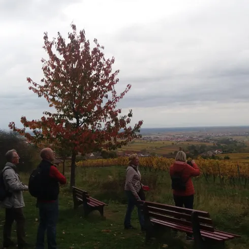Eine Winterwanderung durch einen verschneiten Wald. Gruppen von Menschen gehen auf einem schmalen Weg zwischen hohen Bäumen.