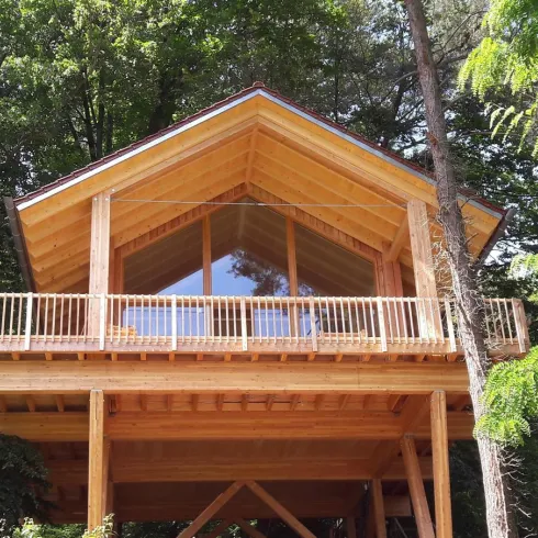 Ein modernes Holzhaus umgeben von Bäumen. Die große Fensterfront bietet viel Licht und einen Blick auf die Natur.