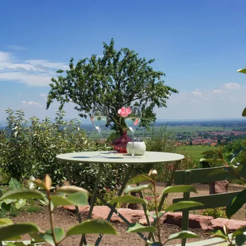Ein kleiner Tisch mit einer Vase und einer Blume steht in einem Garten. Im Hintergrund sind sanfte Hügel und ein blauer Himmel sichtbar.