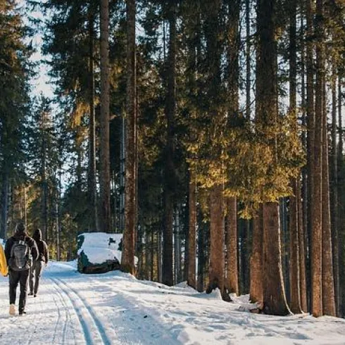 Glühwein Tour (© St. Martin Tours)