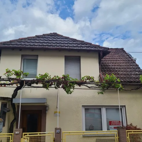 Ein gemütliches Haus mit einem Satteldach und grünen Weinranken. Der Himmel ist bewölkt und es gibt eine gelbe Umzäunung.