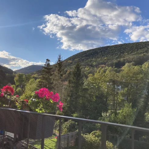 Ausblick vom Balkon Ausblick vom Balkon