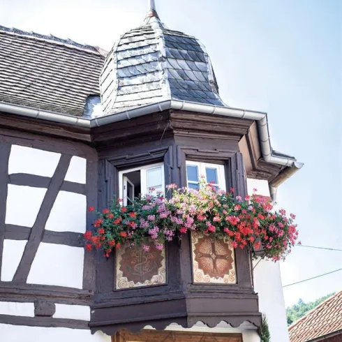 Ein historisches Fachwerkhaus mit einer charmanten Erkerfenster und bunten Blumenkästen. An der Wand sind künstlerische Malereien zu sehen.