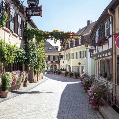 Eine malerische Straße mit bunten Blumen und charmanten Häusern. Die Sonne scheint und sorgt für eine einladende Atmosphäre.