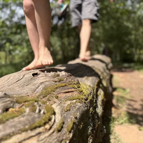 Zwei Kinder balancieren barfuß auf einem dicken Baumstamm im Wald. Die Umgebung ist grün und sonnig.