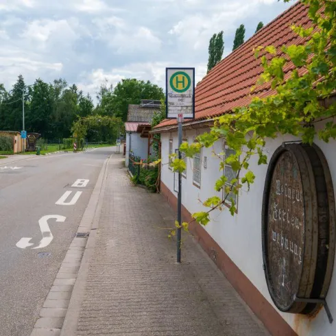 Eine ruhige Straße mit einem Busstop und dem Schild einer Weinwirtschaft. Bäume und Häuser sind im Hintergrund sichtbar.