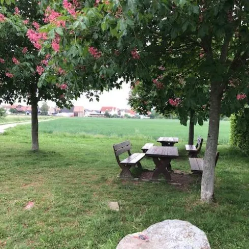 Hayna-Picknickplatz am Krone-Plätzel nähe Waldkape