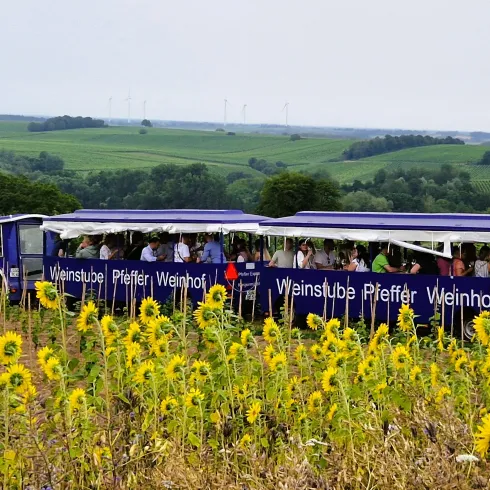 Ein blauer Weinfahrzeug fährt durch ein Feld mit Sonnenblumen. Im Hintergrund erstrecken sich grüne Hügel und eine Landschaft.