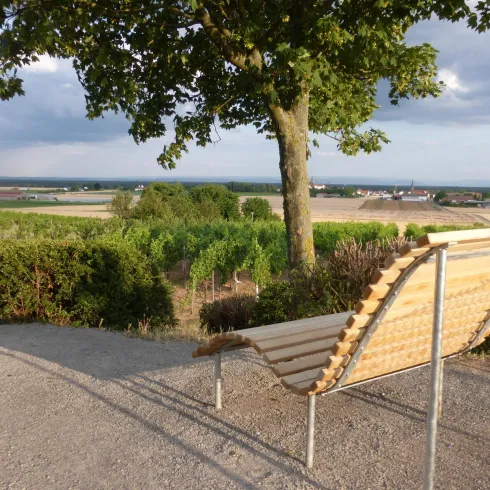 Eine Aussicht mit einer modernen Holzliege unter einem Baum. Im Hintergrund sind Felder und ein bewölkter Himmel sichtbar.
