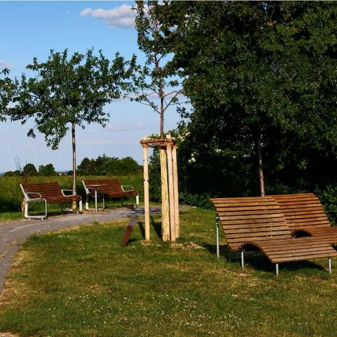 Ein ruhiger Park mit zwei Holzliegeflächen und einigen Bäumen. Der Weg führt durch eine grüne Wiese mit Blick auf die Natur.