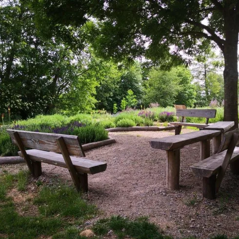 Biodiversitätsplatz Herxheim Picknickbänke anne