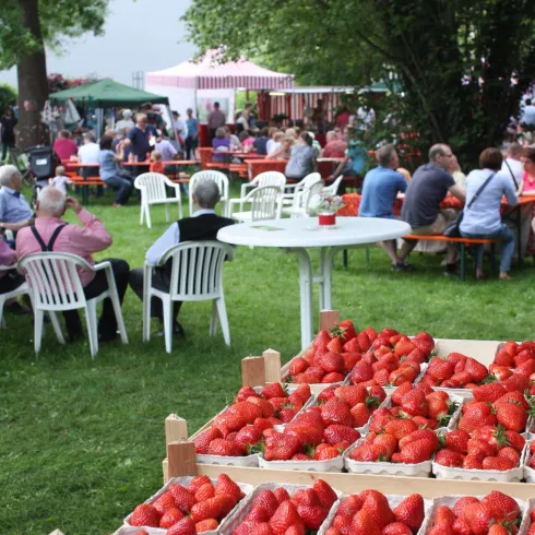 Erdbeeren erntefrisch (© Verein Südliche Weinstrasse Herxheim)